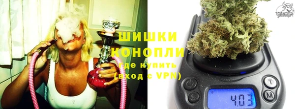 PSILOCYBIN Горно-Алтайск