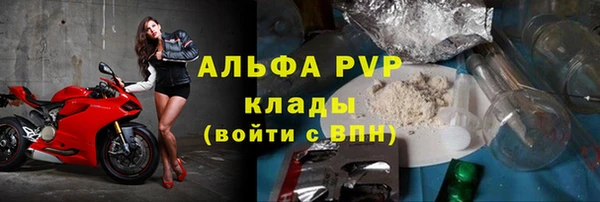 PSILOCYBIN Горно-Алтайск