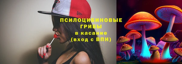 твердый Горнозаводск