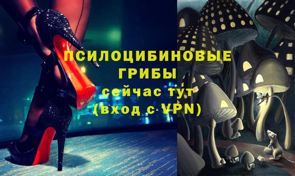 альфа пвп Горняк