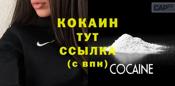 PSILOCYBIN Горно-Алтайск