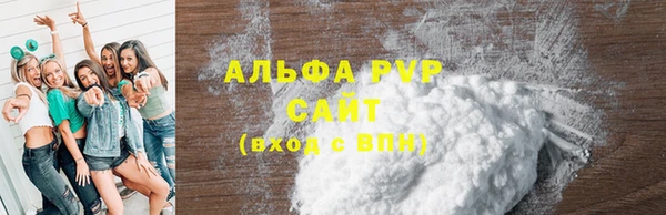 PSILOCYBIN Горно-Алтайск