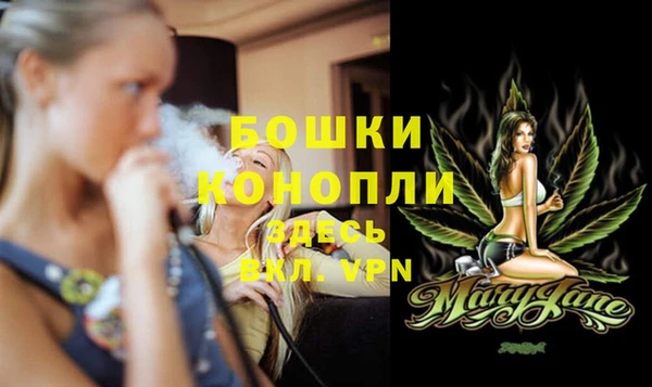 PSILOCYBIN Горно-Алтайск
